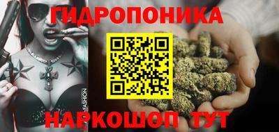 a pvp Можга