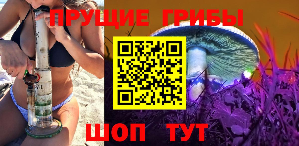 Псилоцибиновые грибы мицелий Чебаркуль